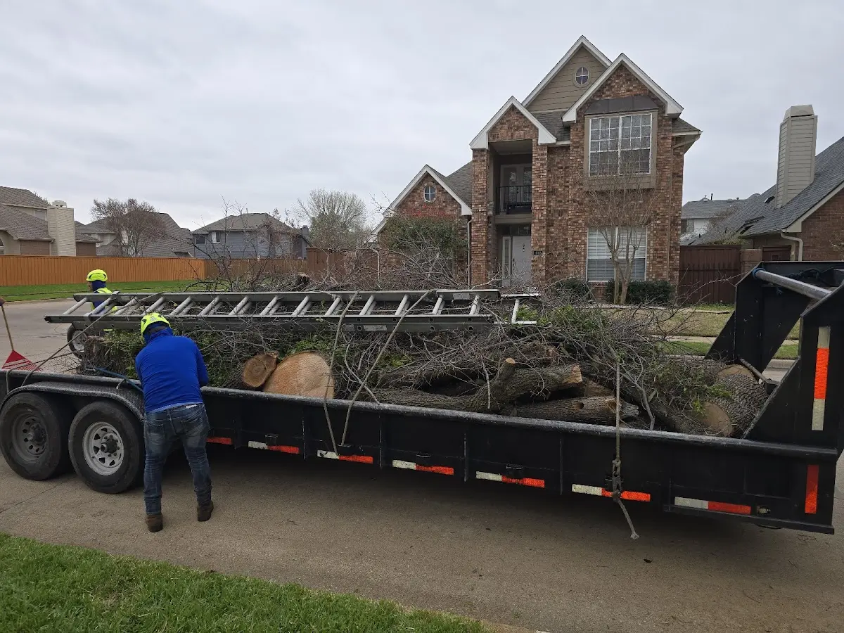 Expert Tree Removal with proper safety equipment in Red Lion